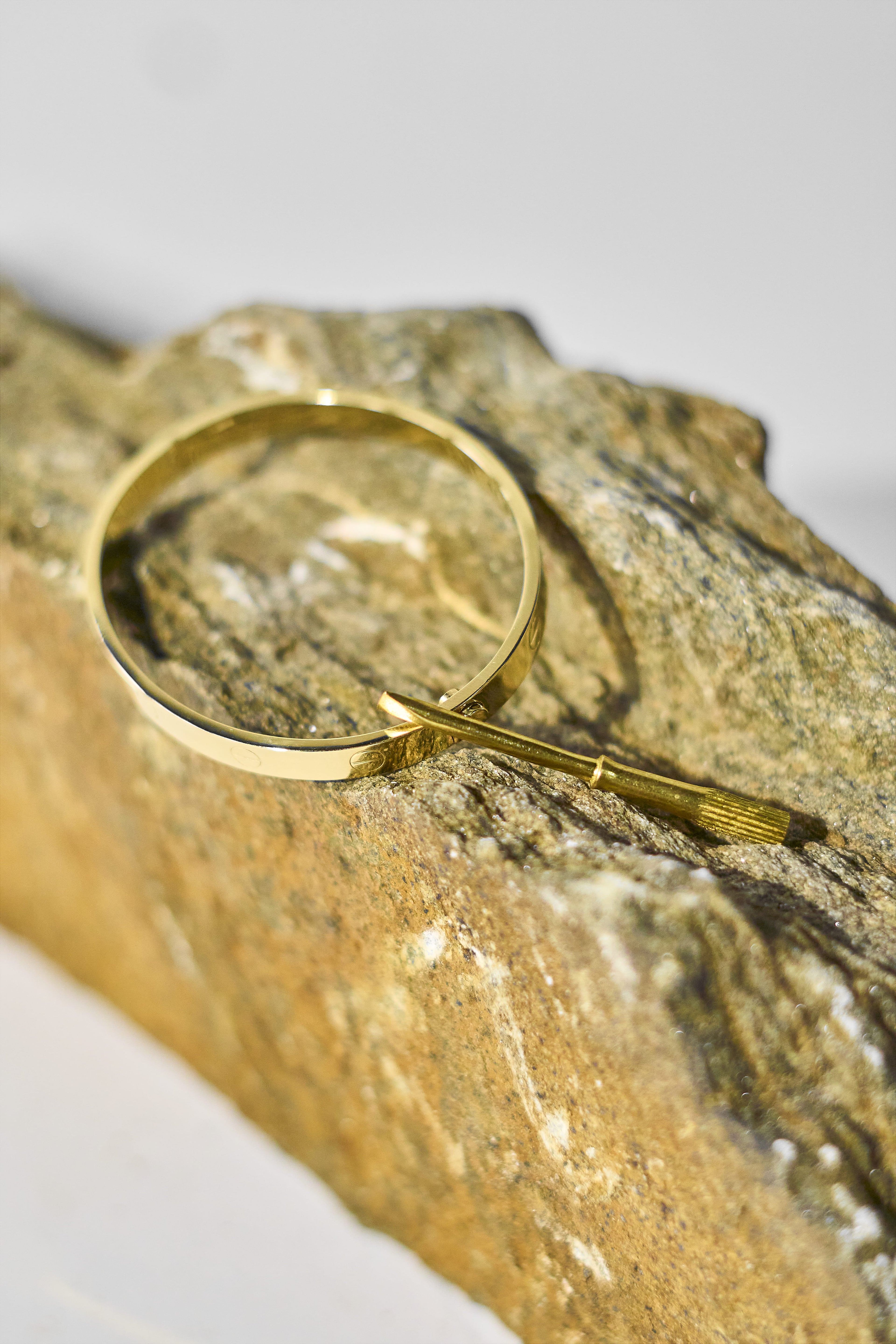 Pulsera Trazo Vivo - Cartier